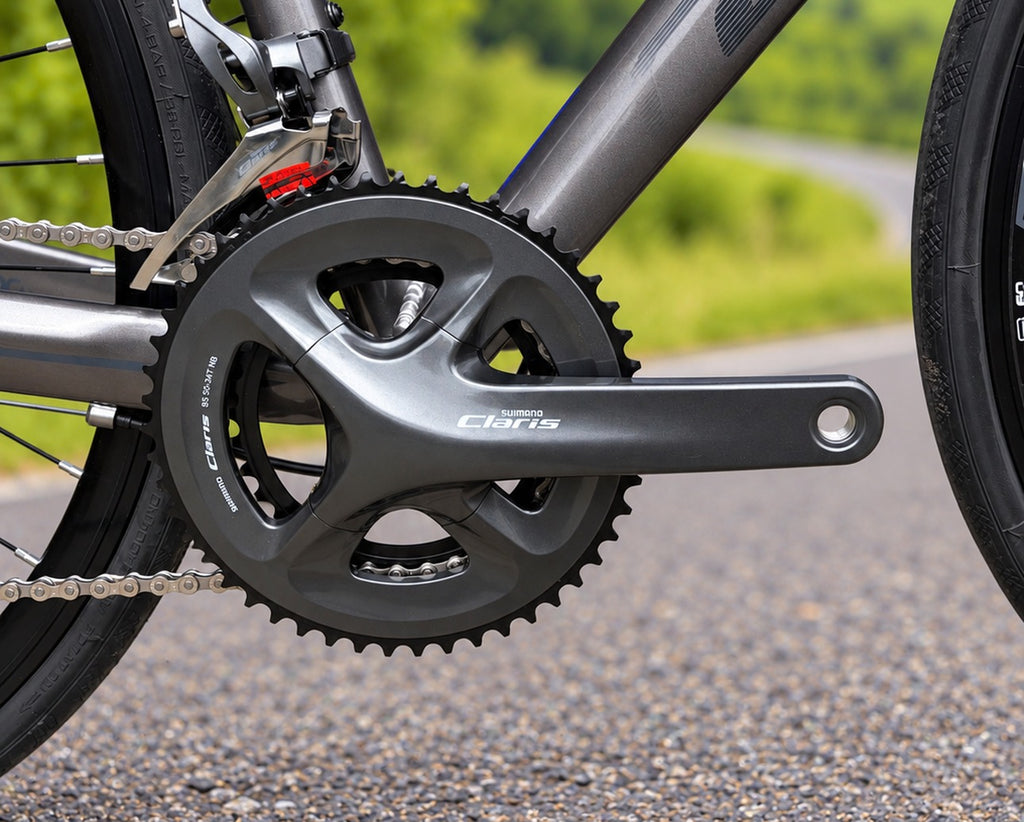 Detalle de platos Shimano Claris 50-34T de la GW Flamma